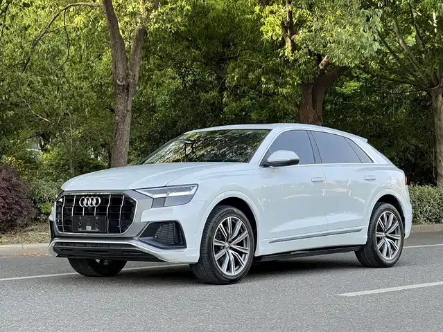 Audi Audi Q8 Audi Q8 2019 45 TFSI Premium Dynamic Model — фото