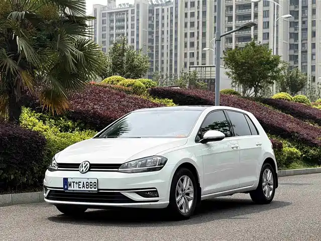 Volkswagen Golf Golf 2018 1.6l Automatic Comfort Type — фото