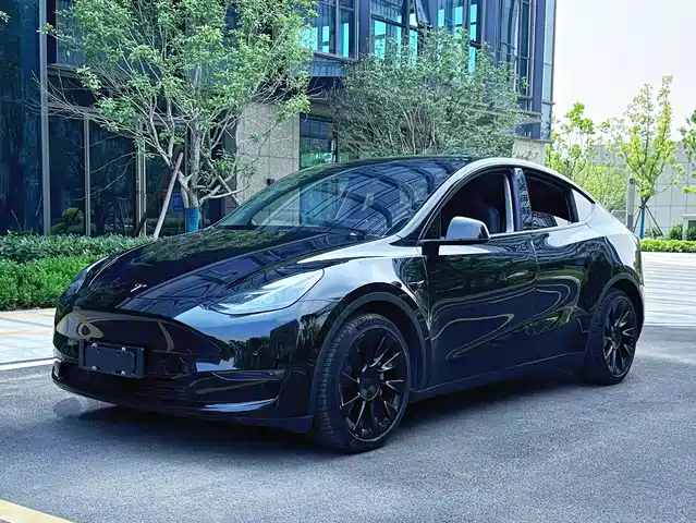 Tesla Model Y Model Y 2021 Standard Range Rear-Wheel Drive Version