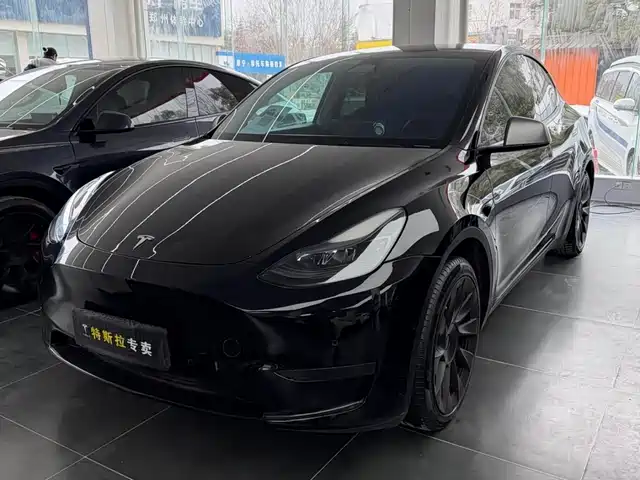 Tesla Model Y Model Y 2022 Rear-Wheel Drive Version