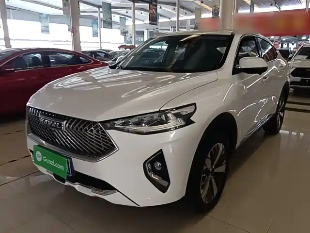Harvard Haval F7x Haval F7x 2021 2.0t Two-Wheel Drive Extremely Smart Technology Version