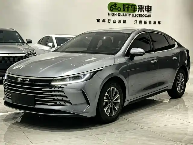 Byd Destroyer 05 Destroyer 05 2024 Honor Edition Dm-I 55km Luxury Type — фото