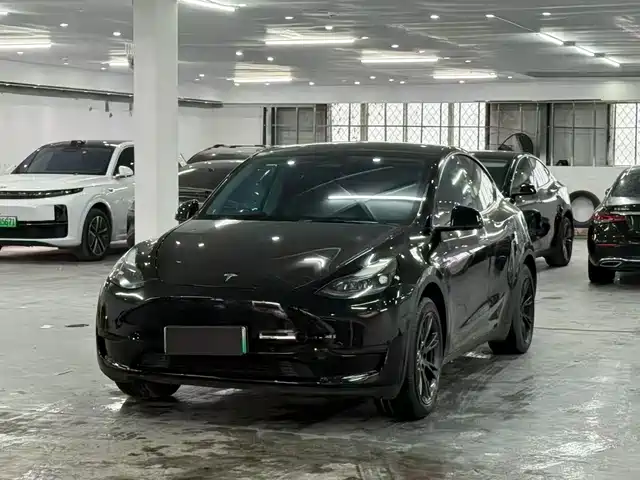 Tesla Model Y Model Y 2023 Rear-Wheel Drive Version