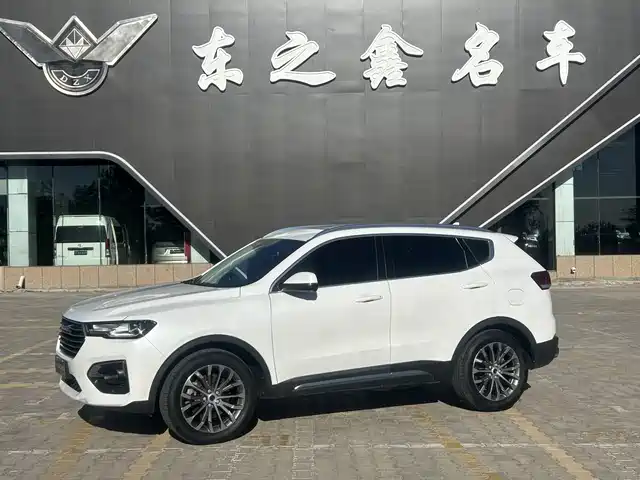 Harvard Haval H6 Haval H6 2019 Blue Label 1.5gdit Automatic Luxury Connected Edition