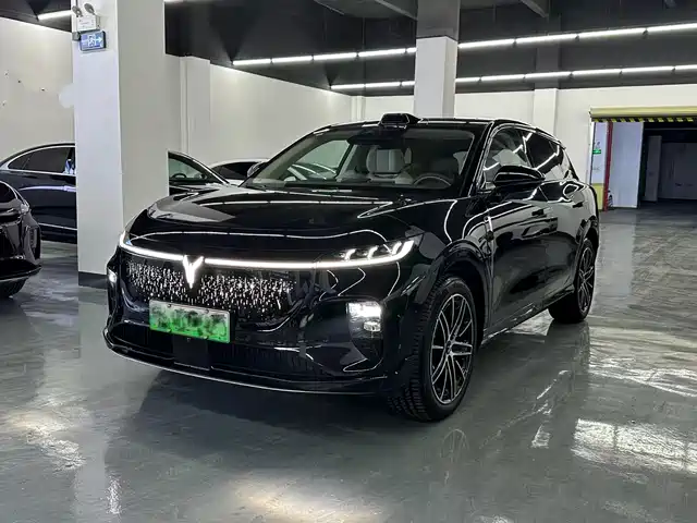Lantu Automobile Lantu Bosom Friend