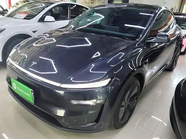 Tesla Model Y Model Y 2025 Rear-Wheel Drive Version — фото