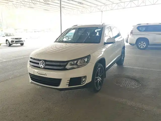 Volkswagen Tiguan Tiguan 2015 2.0tsi Automatic Four-Wheel Drive Luxury Version — фото