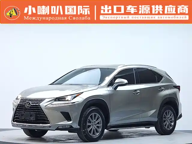 Lexus Lexus Nx Lexus Nx 2020 200 Awd Fengshang Edition National Vi