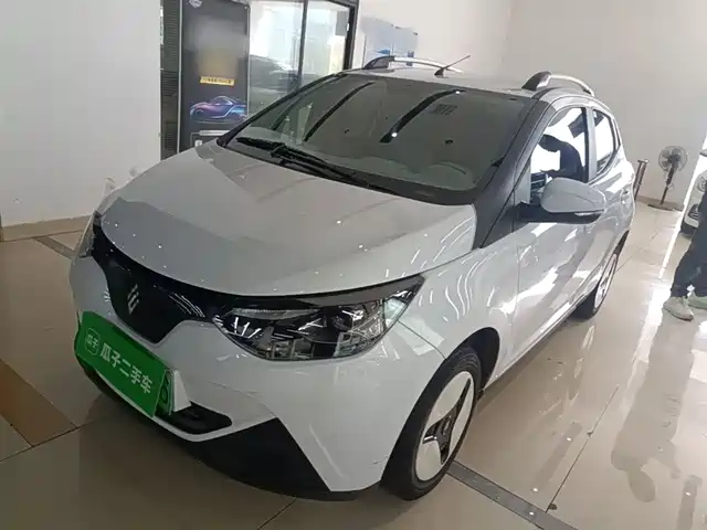 Jiangling Group New Energy Yizhi EV2 Xiao Qilin 2024 Model 201km Comfort Model — фото