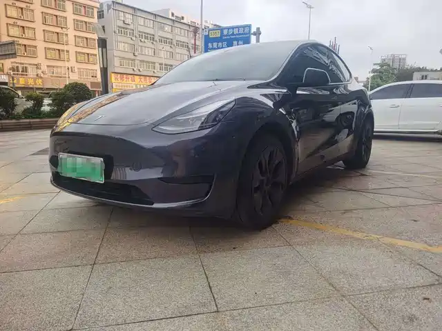 Tesla Model Y Model Y 2024 Rear-Wheel Drive Version