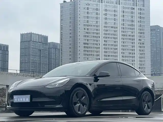Tesla Model 3 Model 3 2022 Rear-Wheel Drive Version — фото
