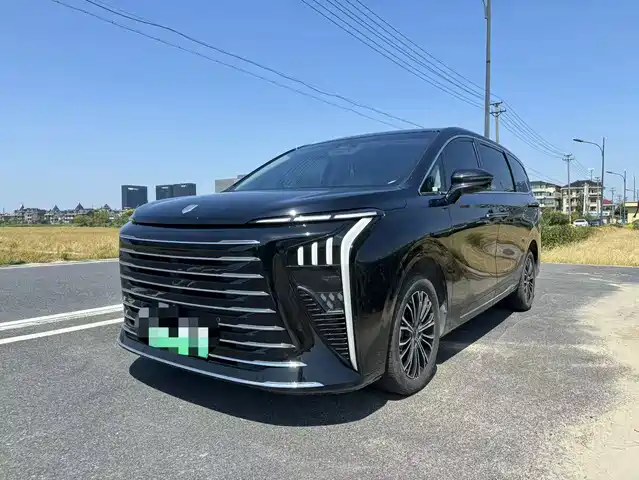 Dongfeng Is Popular Xinghai V9 Xinghai V9 2024 Model 1.5td 200km Qingyun Ladder Series Premium Type — фото
