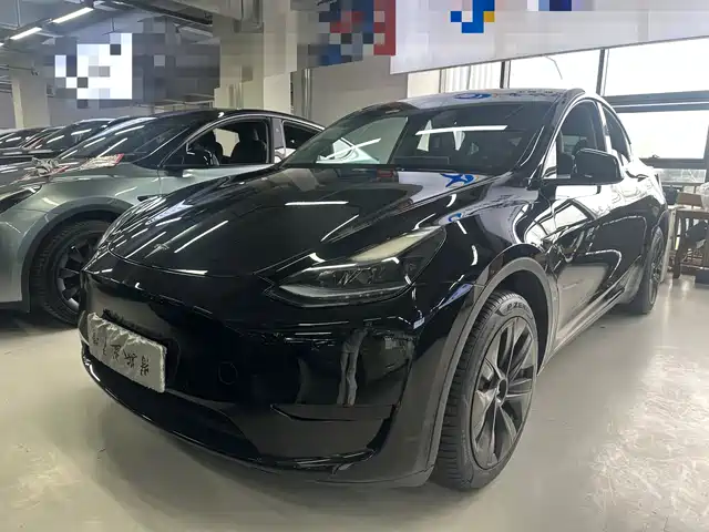 Tesla Model Y Model Y 2022 Facelift Rear-Wheel Drive Version