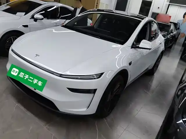 Tesla Model Y Model Y 2025 Rear-Wheel Drive Version — фото