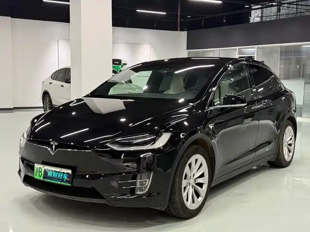 Tesla Model X Model X 2017 Model X 100d Long Range Edition — фото