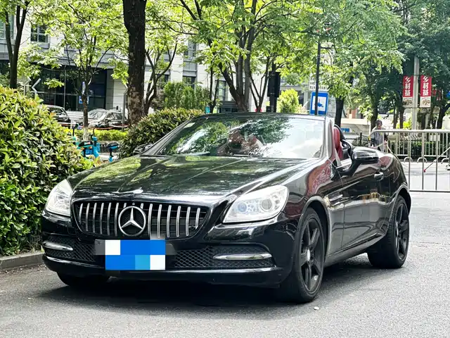 Mercedes-Benz Mercedes Benz Slk Class Mercedes-Benz Slk-Class 2011 Slk 200 Fashion Model