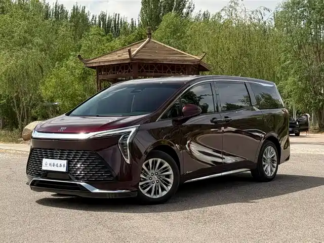 Buick Century Century 2023 2.0t Six-Seater Yuanshi Edition