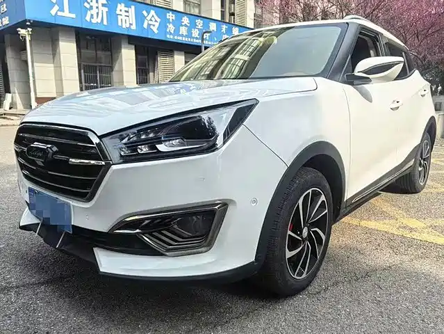 Zotye Zotye T300