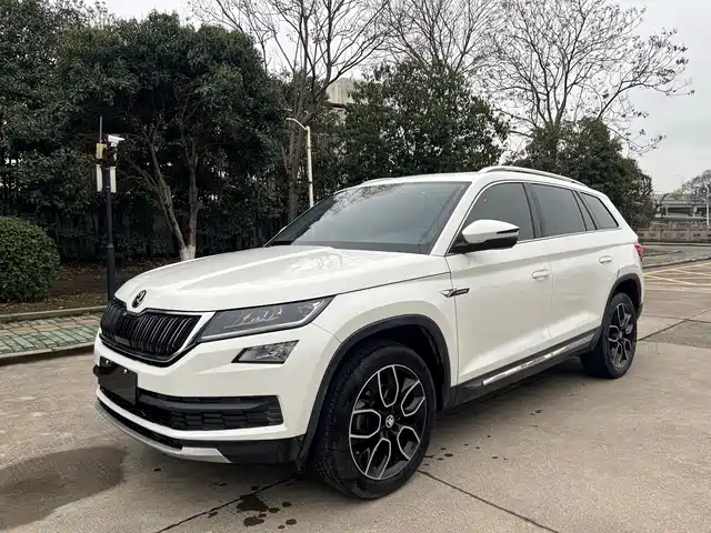 Skoda Kodiak Kodiak 2018 Tsi330 7-Seat Two-Wheel Drive Luxury Premium Version — фото