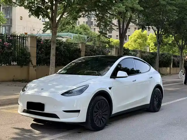 Tesla Model Y Model Y 2022 Facelift Rear-Wheel Drive Version
