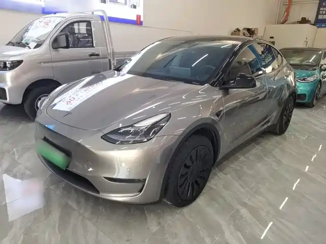 Tesla Model Y Model Y 2023 Long-Range All-Wheel Drive Version — фото