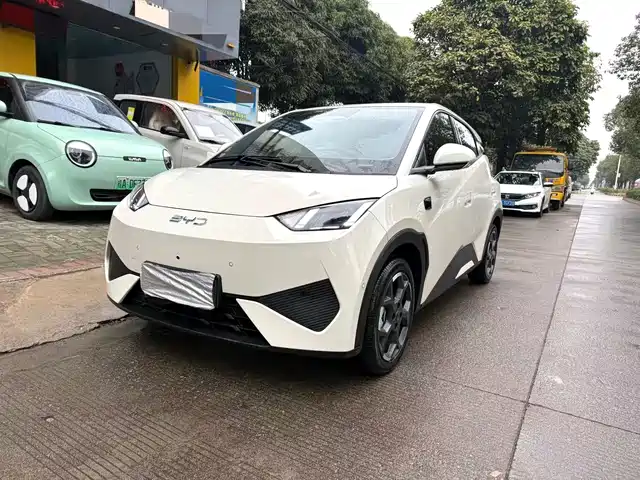 Byd Seagull Seagull 2025 Smart Driving Version 305km Free Version