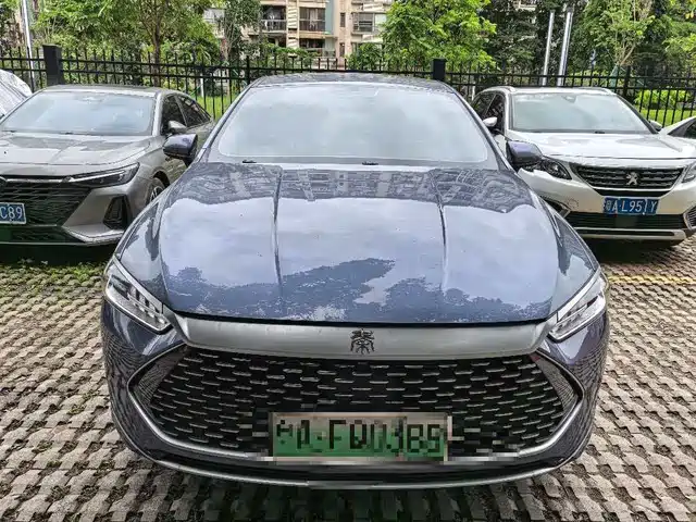 Byd Qin Plus Qin Plus 2024 Honor Edition Dm-I 55km Leading Type