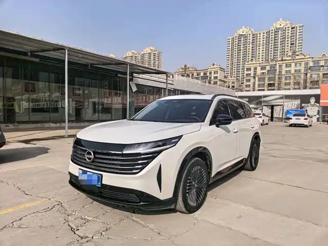 Nissan Explore The Land Tanlu 2024 380vc-Turbo Four-Wheel Drive Zhizun Edition 6 Seats — фото