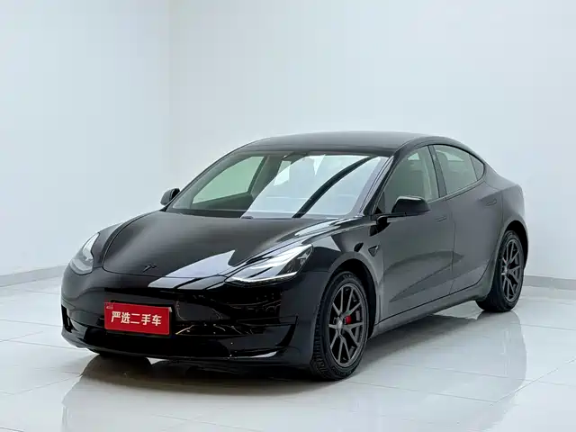 Tesla Model 3 Model 3 2020 Facelift Standard Range Rear-Wheel Drive Upgraded Version — фото