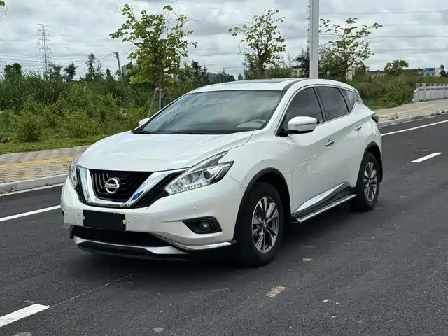 Nissan Loulan Loulan 2017 2.5l Xl 2wd Smart Edition — фото