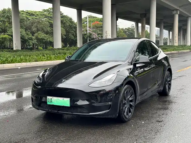 Tesla Model Y Model Y 2021 Standard Range Rear-Wheel Drive Version