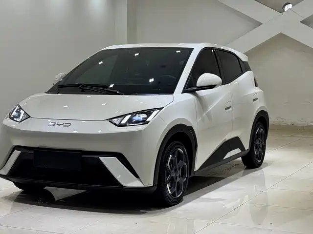 Byd Seagull Seagull 2024 Honor Edition 305km Free Edition — фото