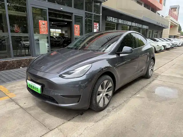 Tesla Model Y Model Y 2022 Facelift Rear-Wheel Drive Version