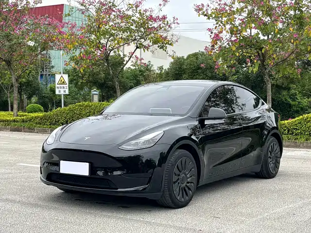 Tesla Model Y Model Y 2023 Rear-Wheel Drive Version