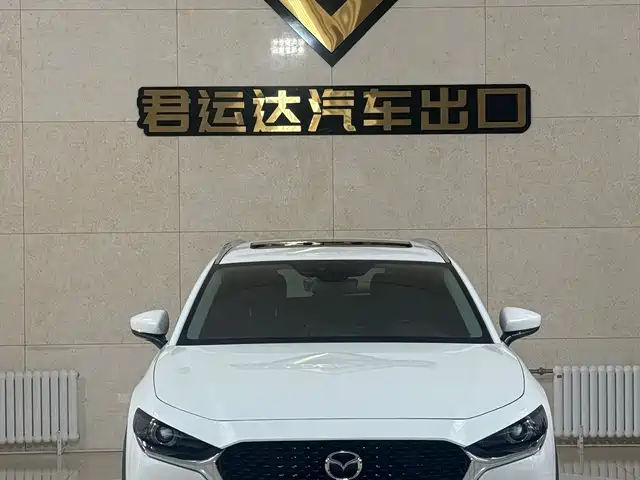 Mazda Mazda Cx-30 Mazda Cx-30 2022 2.0l Automatic Jiayue Type