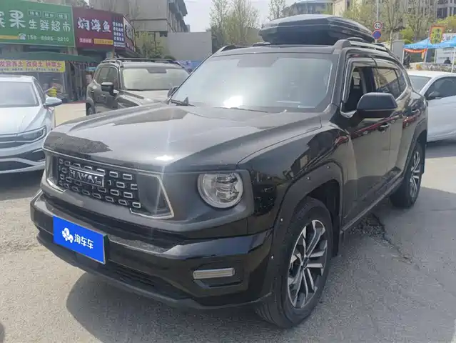 Harvard Havaldog Plus Haval Big Dog Plus 2023 2.0t Two-Wheel Drive Wild Version