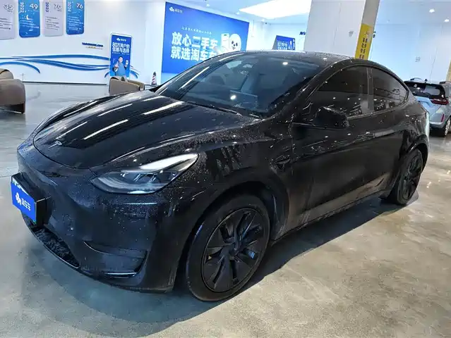 Tesla Model Y Model Y 2023 Rear-Wheel Drive Version — фото