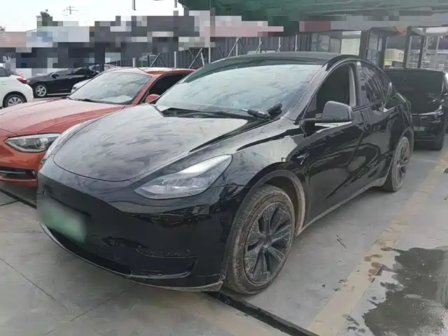 Tesla Model Y Model Y 2023 Rear-Wheel Drive Version — фото