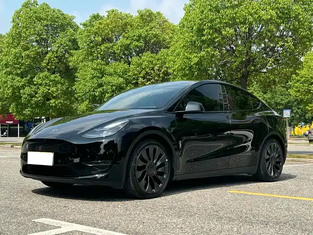 Tesla Model Y Model Y 2023 Rear-Wheel Drive Version — фото