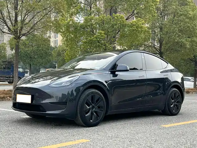 Tesla Model Y Model Y 2024 Rear-Wheel Drive Version — фото