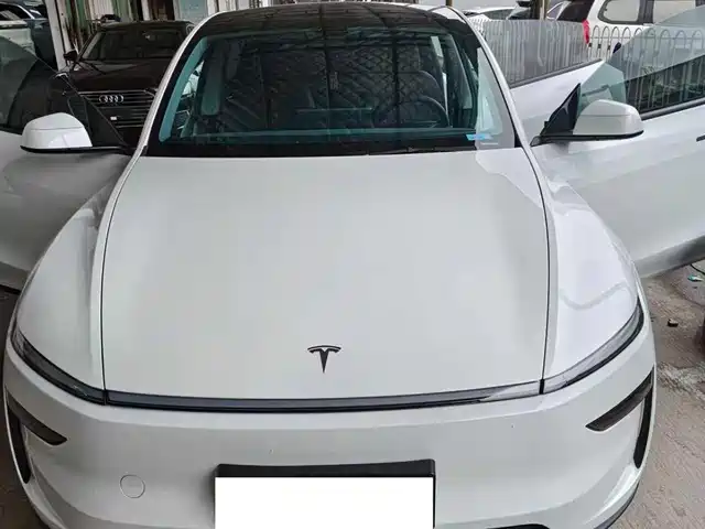 Tesla Model Y Model Y 2025 Rear-Wheel Drive Version