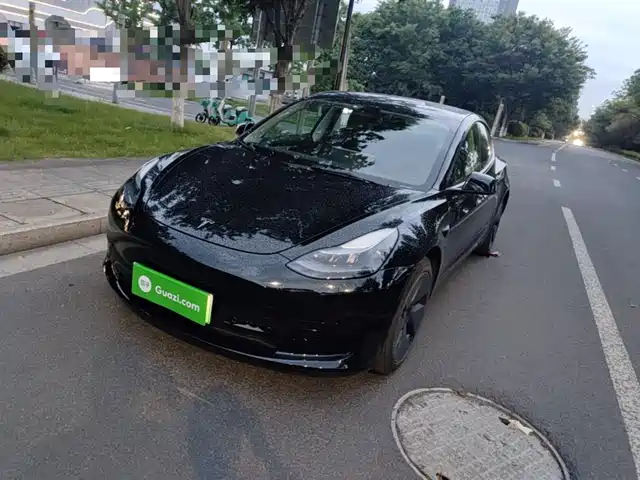 Tesla Model 3 Model 3 2022 Rear-Wheel Drive Version