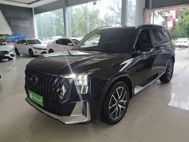 Gac Trumpchi Trumpchi Gs8 Trumpchi Gs8 2022 Dual Engine Series 2.0tm Two-Wheel Drive Premium Edition (Seven Seats) — фото