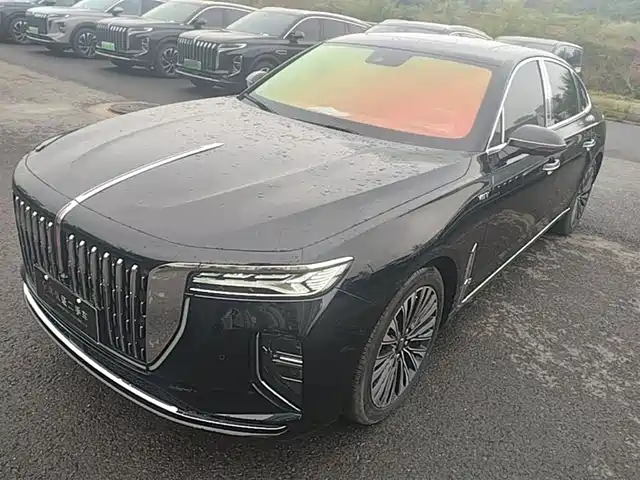 Red Flag Hongqi H9 Hongqi H9 2024 2.0t Qixiang Luxury Business Edition
