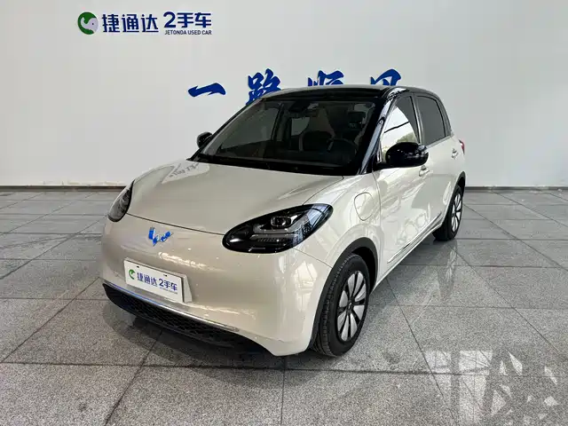 Wuling Motors Wuling Bingo Wuling Bingo 2023 Model 333km Lingxi Internet Model