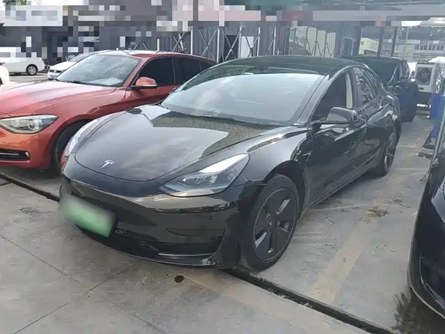 Tesla Model 3 Model 3 2022 Rear-Wheel Drive Version