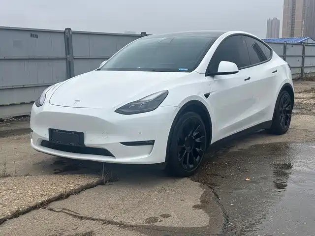 Tesla Model Y Model Y 2021 Long-Range All-Wheel Drive Version 3d7