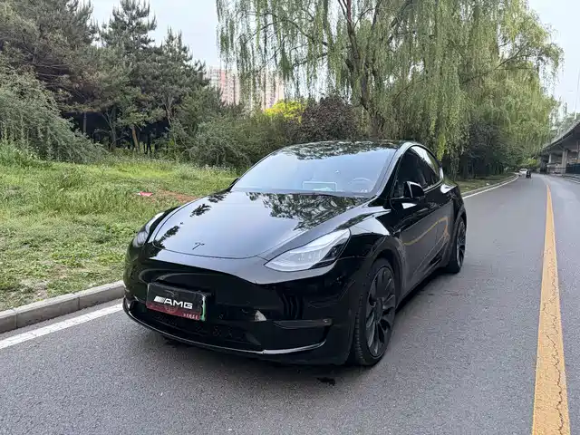 Tesla Model Y Model Y 2022 Performance High-Performance All-Wheel Drive Version — фото