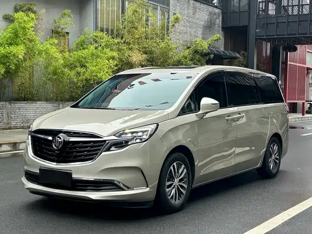 Buick Buick Gl8 Buick Gl8 2020 Es Lu Zun 653t Comfort Type