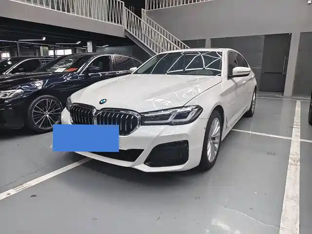Bmw Bmw 5 Series Bmw 5 Series 2020 530li Leading Luxury Package